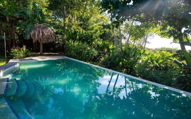 Jungle Lodge at Wild Sun Rescue