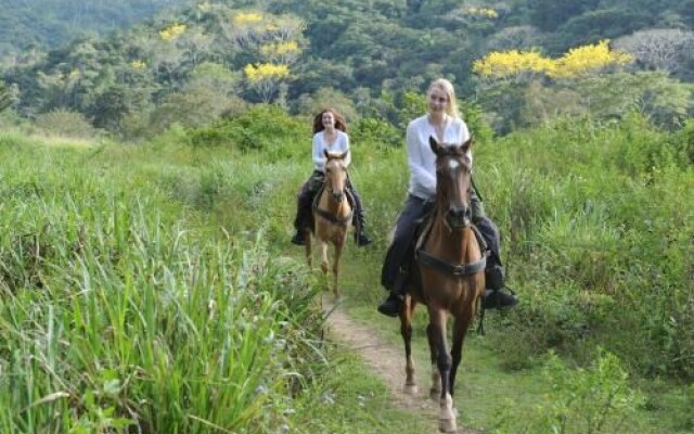 Mountain Equestrian Trails