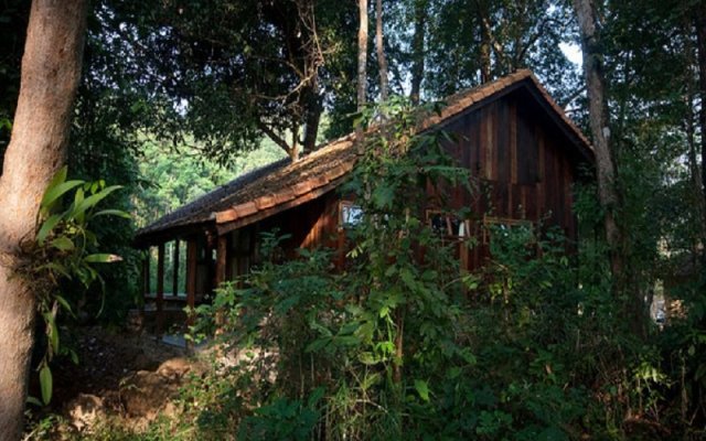 Forest Floor Lodge