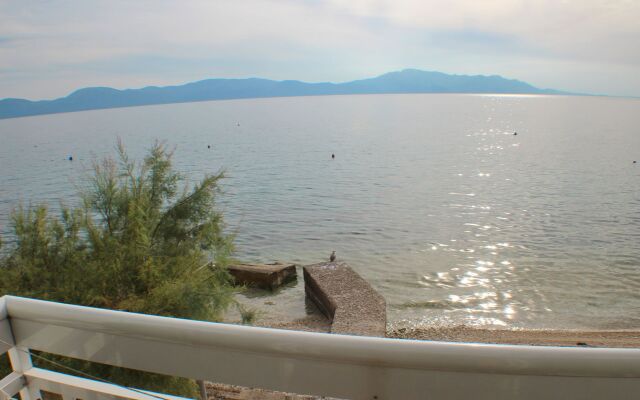 Apartment Bale - right at the beach: A1 Plaza Brist, Riviera Makarska