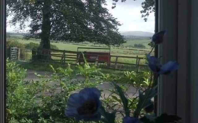 Dykefield Farm B&B