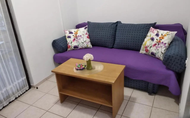 Apartment Savic