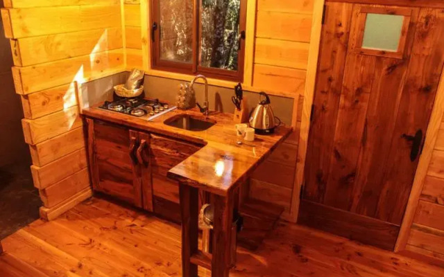 Cabanas Bosque Milenario