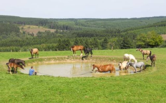 Le Haras de Bernister