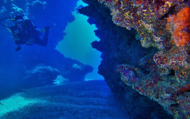 Mai Dive Astrolabe Reef Resort