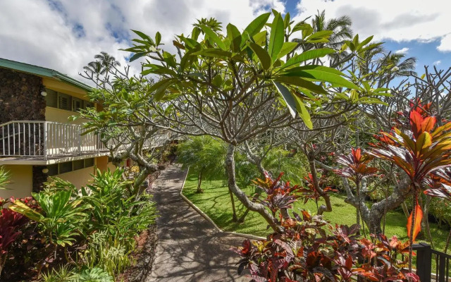 Napili Shores I270