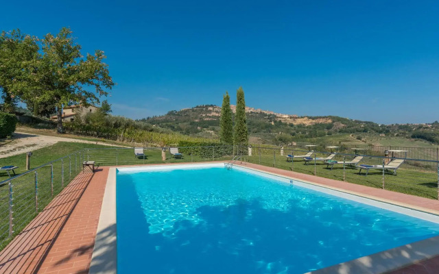 The Grapevine by MANVI