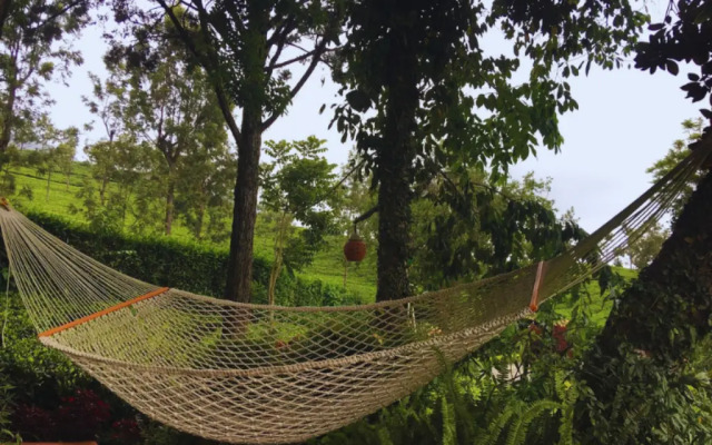 Teanest – Nature Resorts, Coonoor