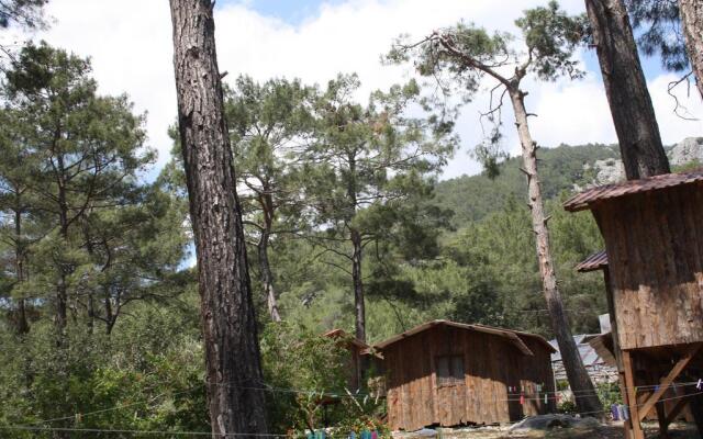 Saban Tree Houses