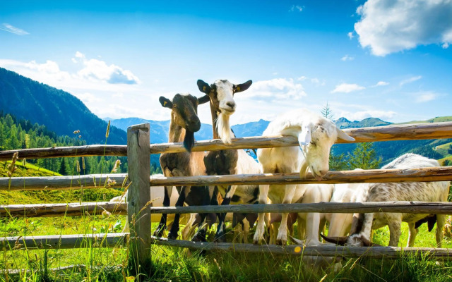 Bauernhof Klausbauer