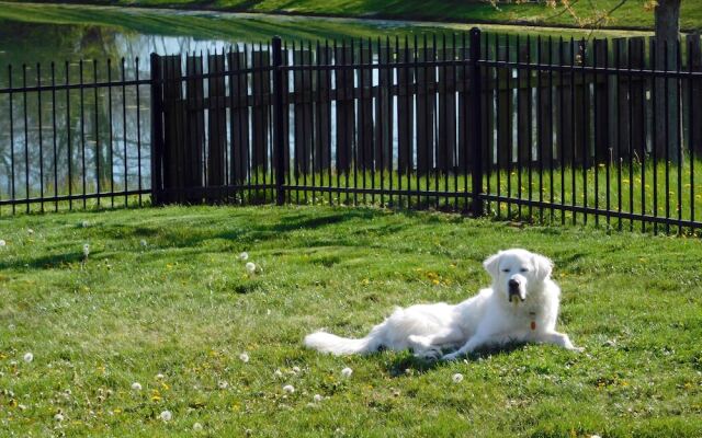 Evonne's Sharing House