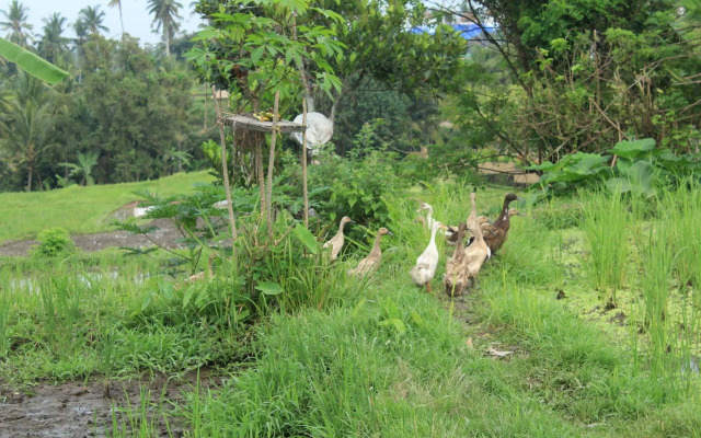 Pondok Permata Homestay