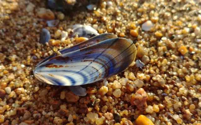 Chambre d'hôtes près de la plage