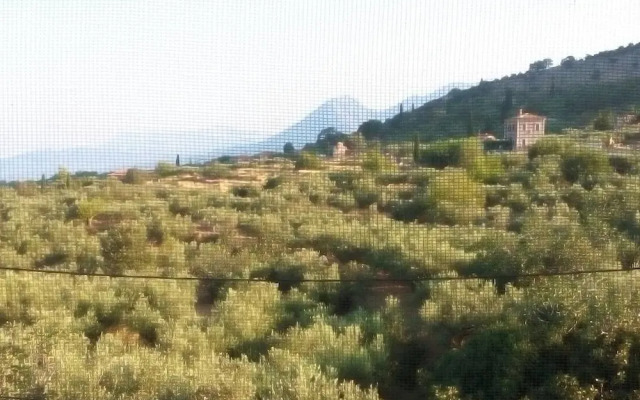 Mani Dere Tower Home