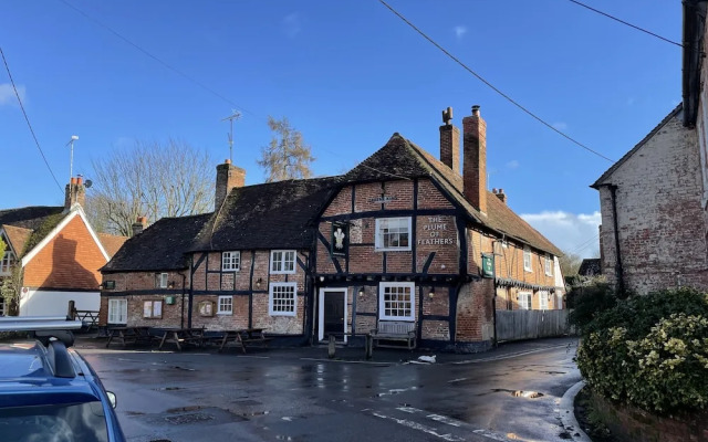 The Plume of Feathers