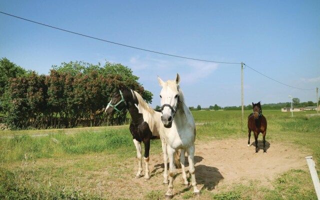 Amazing Home in Bresewitz With