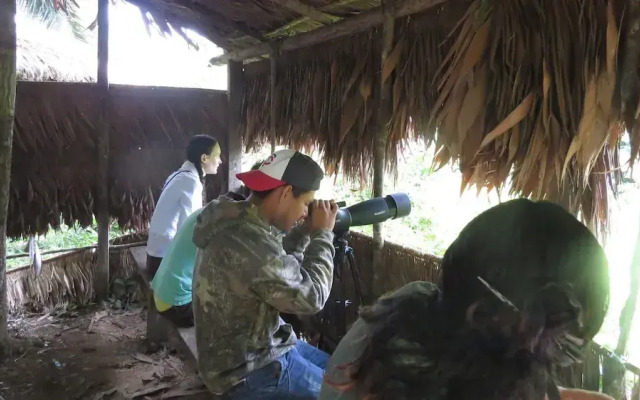 Yacumama Tambopata Expeditions