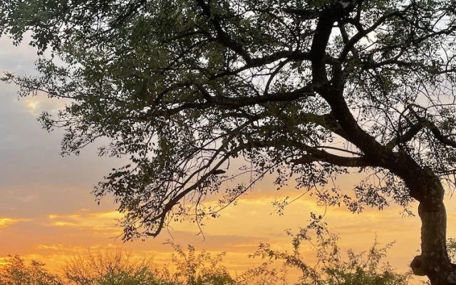Thula Private Lodge