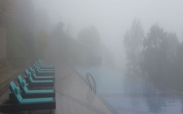 Poetree Thekkady Hotel