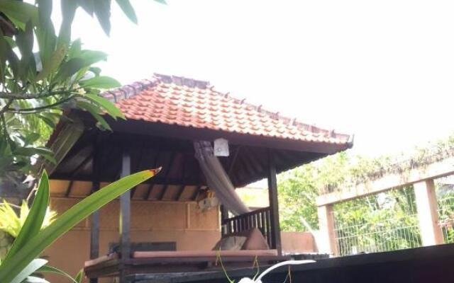 Leo home stay 2
