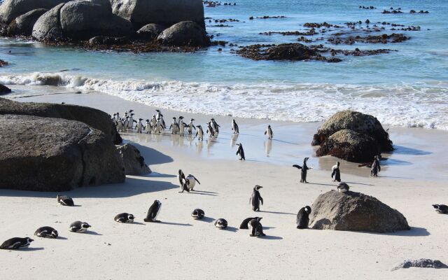 Boulders Beach House