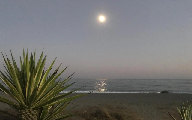 Oasis de Costalita I