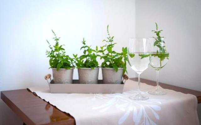 Apartment Casa Banko