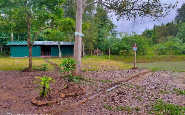 Shades Of Green - Camping Near Dubare