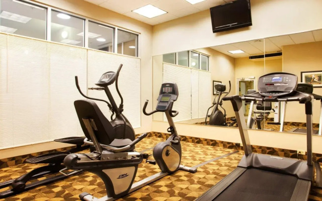 Holiday Inn Aurora North - Naperville by IHG