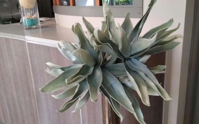 Hotel Baia Verde Gallipoli