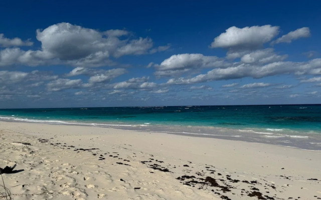 Cricket Beach House-luxurious Beachfront House 5 Bedroom Home