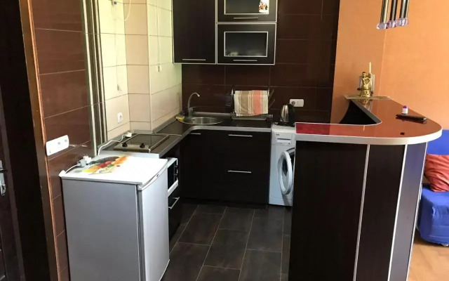 Bakuriani Hills Apartment