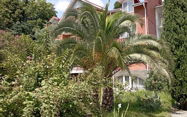 Оазис спокойствия