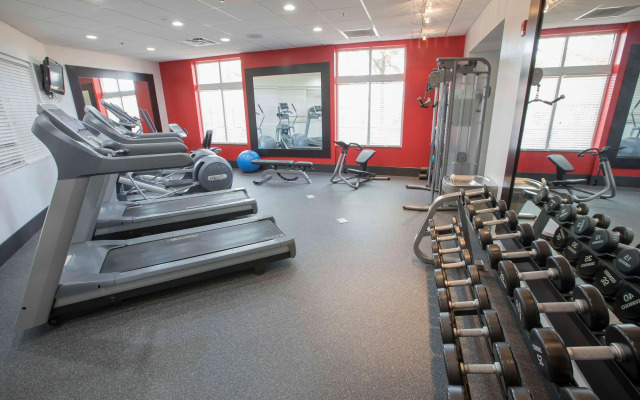 Hilton Garden Inn Atlanta South/McDonough