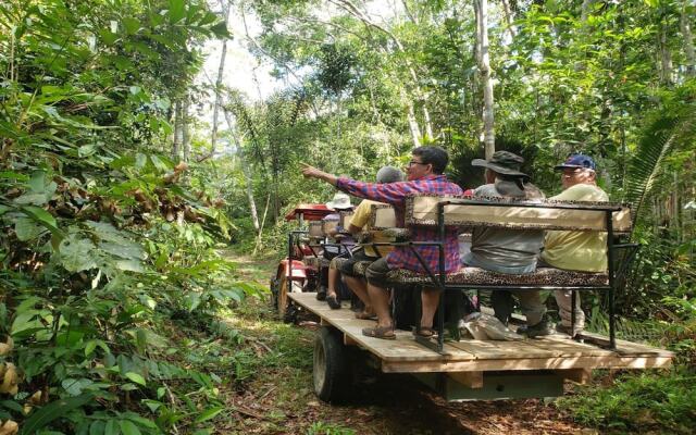 Shapshico Lodge Ayahuasca