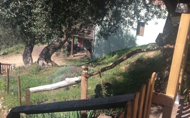 U Pampasgiolu - Chambres d'Hôtes