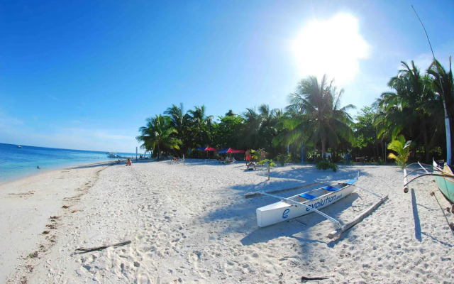 Evolution Dive and Beach Resort