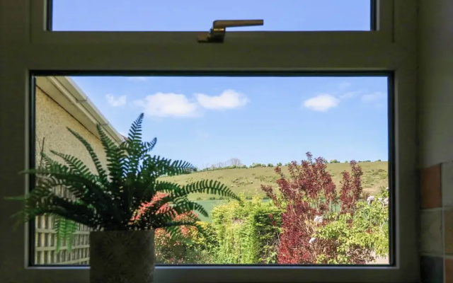 Downs View