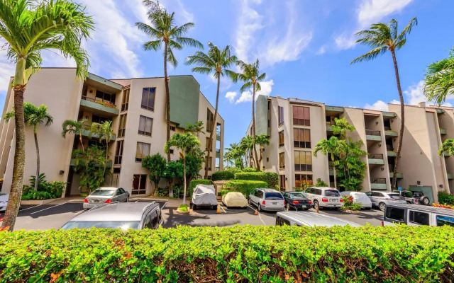 Hale Mahina A207
