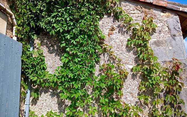 Le Petit Cochon chambre d` hotes