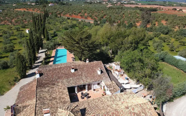 La Guzmana de Ronda