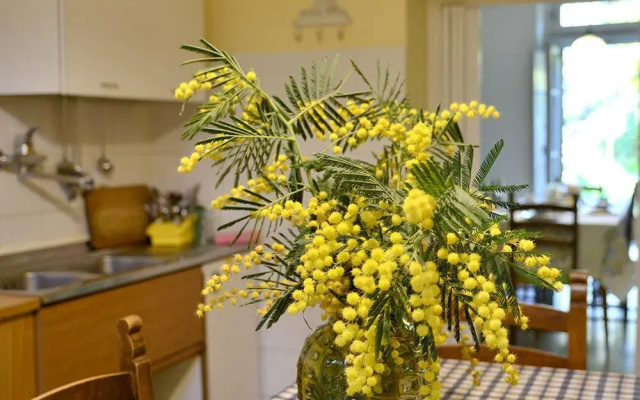 Villa nei fiori