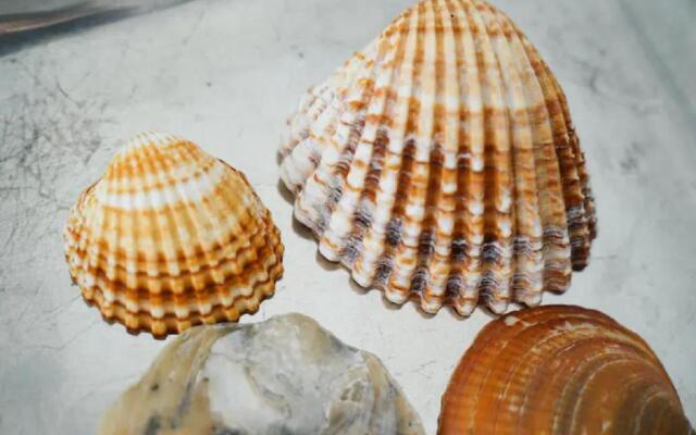 WOW Front Beach View, 150 m to Beach, WIFI