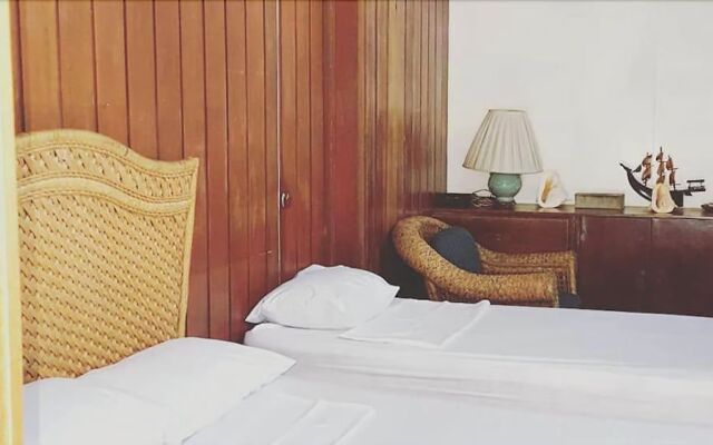 The Pelicans Castaway