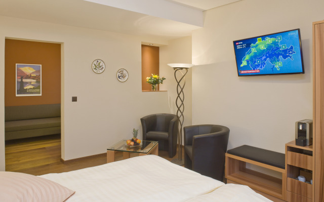 Hotel Ambassador Brig