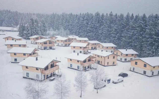 Holiday Apartment in St. Englmar