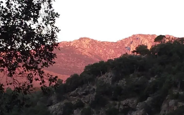 La Terneta