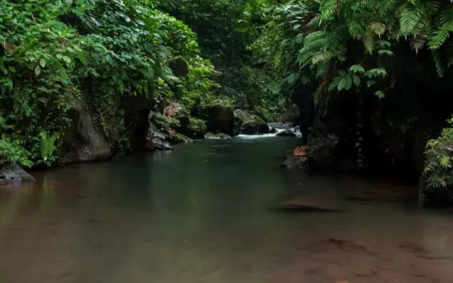 Bali Eco Adventure & Retreat Center