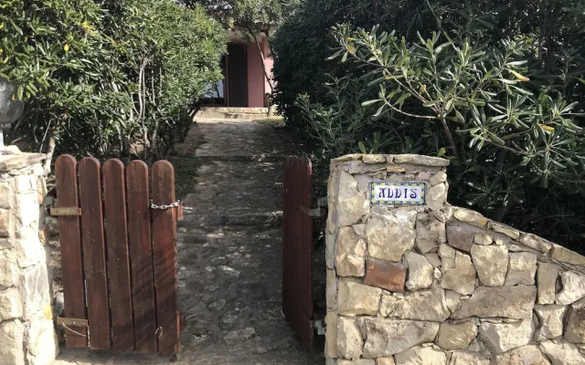 Lucertola