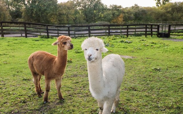 Saddlers Cottage, Berllandeg Farm